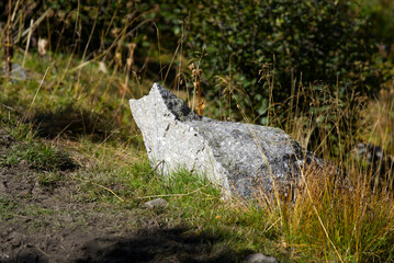 Rock with shape of a cat at hiking trail in the Swiss Alps at region of mountain pass Furkapass on a sunny late summer day. Photo taken September 12th, 2022, Furka Pass, Switzerland.
