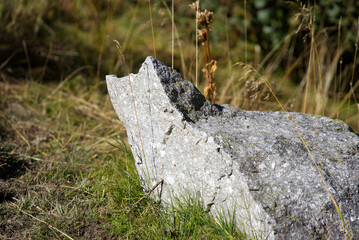 Rock with shape of a cat at hiking trail in the Swiss Alps at region of mountain pass Furkapass on a sunny late summer day. Photo taken September 12th, 2022, Furka Pass, Switzerland.