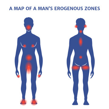 male erogenous zones. Silhouette with marks. Vector illustration