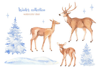 Watercolor deer with a fawn, Christmas trees in the snow isolated on a white background. A set of wild forest animals. Hand-painted winter illustration