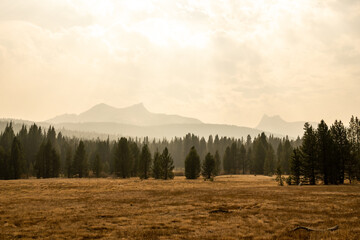 Thick Forest Fire Smoke Hangs Over Tuolumne Meadows