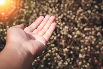 man's hands in sunlight The background has natural bokeh.