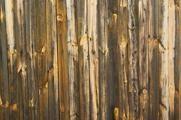 Dark brown board. Background texture of an old tree