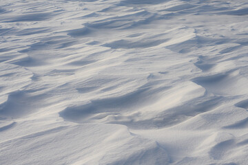Interesting snowdrift patterns with blue cast shadows caused by a late day sun.
