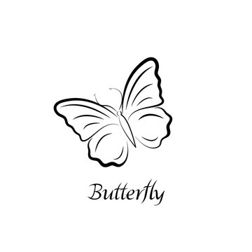 Vector illustration of butterfly. Natural print isolated on white background. Black silhouette outline with inscription, description.