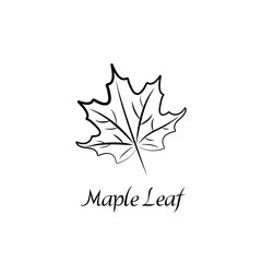 Vector illustration of maple leaf. Natural print isolated on white background. Black silhouette outline with inscription, description.