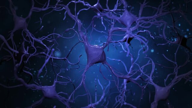 Medical concept. 3d visualization of neural connections in the brain. The dendrite receives information and conducts an impulse to the neuron.
