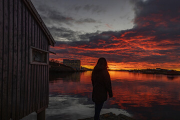 Fototapete bei efototapeten.de bestellen   