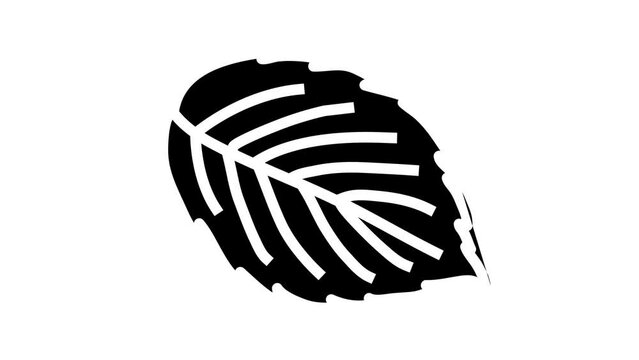 leaf blackberry plant line icon animation