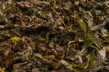 Dry tea leaves as a background.