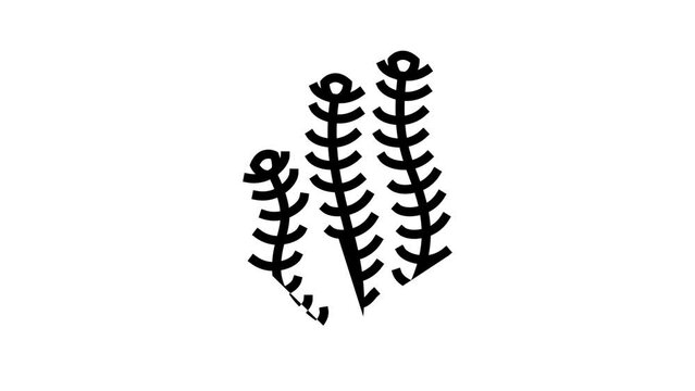 hornwort marine seaweed line icon animation