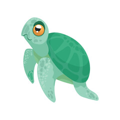 cute turtle baby
