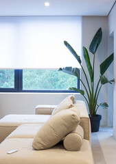 Roller blinds in the interior. Roller shades white color on the window in the living room. A...