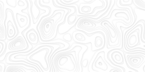 Abstract wavy line 3d paper cut white background. Topographic canyon geometric map relief texture with curved layers and shadow. Abstract realistic papercut decoration textured with wavy layers 