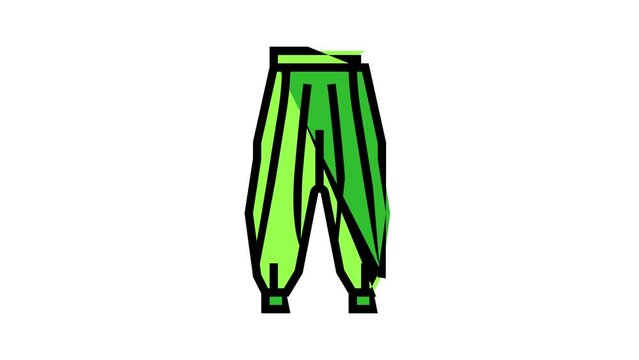 harem pants clothes color icon animation