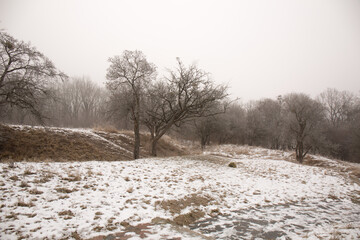 Winter landscape of trees on the hills, geoplastics