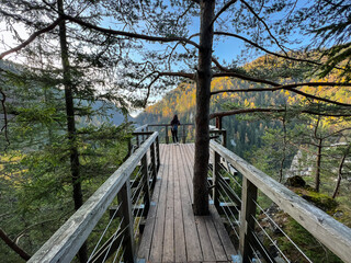 A view of the autumn forest in the Kvacianska dolina national park in Slovakia © Peter