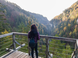 Fototapeta na wymiar A view of the autumn forest in the Kvacianska dolina national park in Slovakia