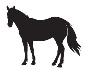 horse silhouette isolated on white vector 