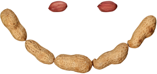 Peanuts with shells isolated on white background