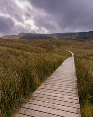 Fototapeta premium Wooden trail through beautiful countryside up a mountain. Cuilcagh Boardwalk Trail in Fermanagh, Northern Ireland. Stairway To Heaven