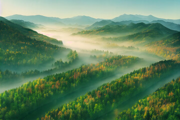 Fototapeta premium Aerial view of dense forest on misty autumn day, mountains in the background