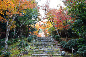 京都 浄住寺の紅葉	