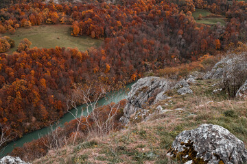 vue depuis le belvédère de Léaz