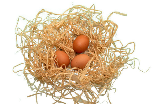 three eggs in a nest, png file