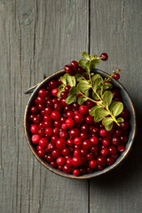Forest lingonberries in a metal plate, top view
