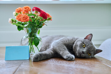 Relaxed cat lying on table with bouquet of flowers in vase and blank card