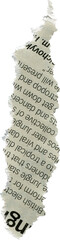 Torn Paper with Text