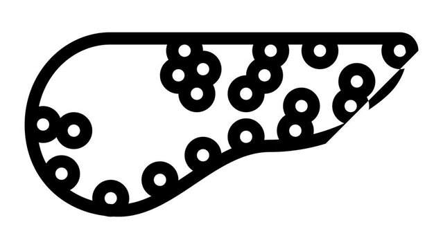 pancreas human line icon animation
