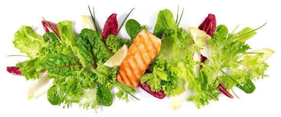 Grilled Salmon Fillet with fresh Salad - Lettuce Panorama isolated on white Background Panorama