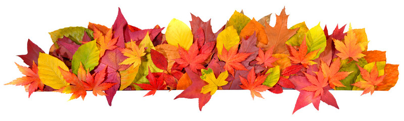 Autumn Leaves Banner Background - PNG Transparent
