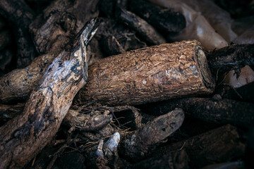 Closeup shot of dry firewood texture.