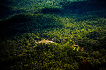 Aerial view of Indian dense rainforest with wooden cottages.