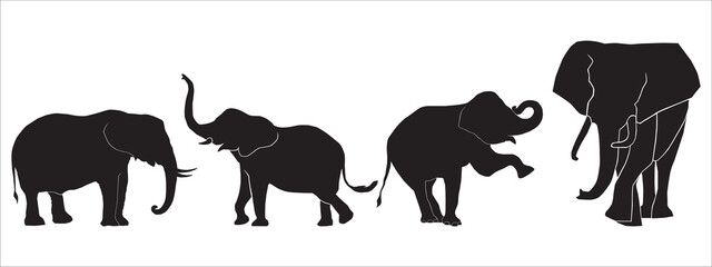 silhouette of Elephants vecotr