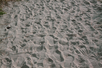 Footprints in the sand
