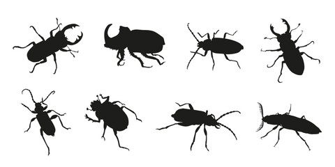various beetle silhouettes volume 1 - obrazy, fototapety, plakaty