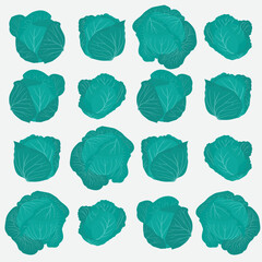 Cabbage print pattern background in flat design for kitchen wallpaper design