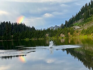 splash in the lake