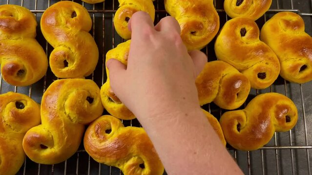 Person taking a freshly baked Swedish saffron bun. Traditional homemade sweet bread baked for Christmas holiday. Footage made in Sweden.