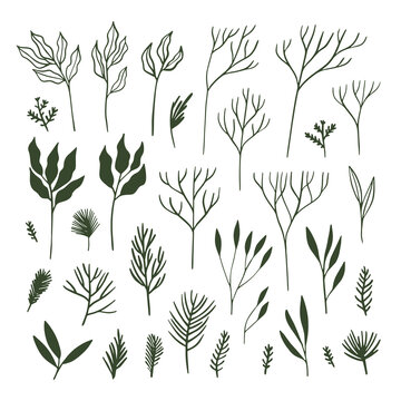Collection of  winter themed botanical elements. Leaves and branches silhouettes vector illustrations.