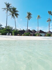Beautiful landscape with sandy beach and palm trees. Travel to the Maldives. Nature background.