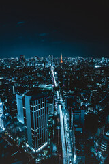 Tokyo city skyline view and office business building skyscraper downtown center with Tokyo Tower at evening in Japan. Asia tourism, modern city life, or business finance and economy concept