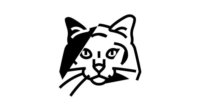birman cat cute pet line icon animation