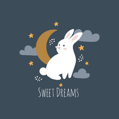 Moon and stars bunny illustration.