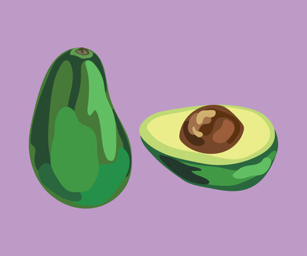 fuerte avocado from peru vector illustration