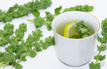 natural herbal teas. photos of thyme tea.